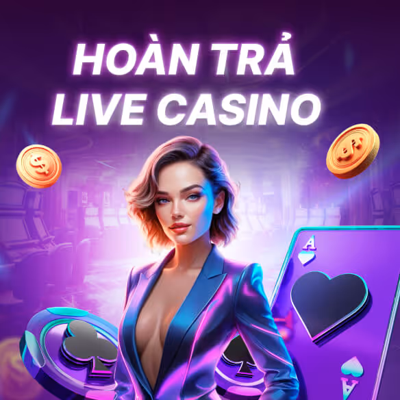 promotion-data-image